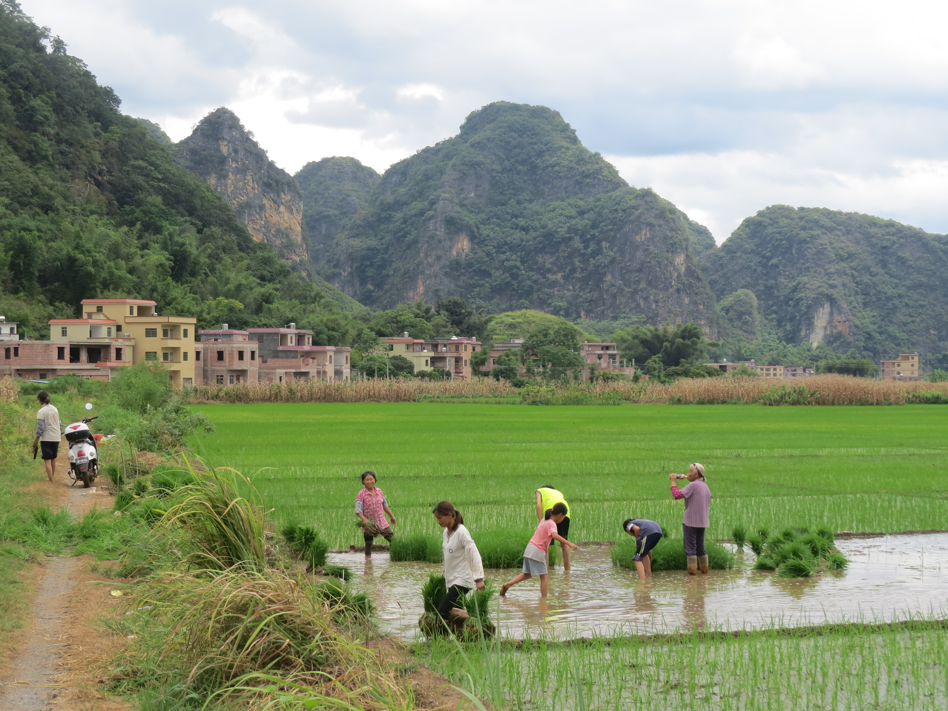婆媳各顶半边天?粤西农村的家庭代际分工观察